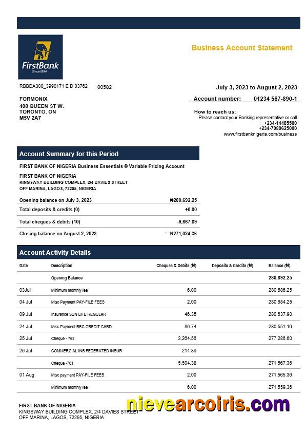 First Bank of Nigeria firm account statement